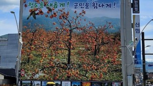 청도읍) 청도읍, 한발 빠른 특산물 홍보 대형 현수막 게시.jpg